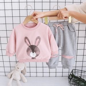 2-piece Rabbit Pattern Sweatshirt & Pants for Todd